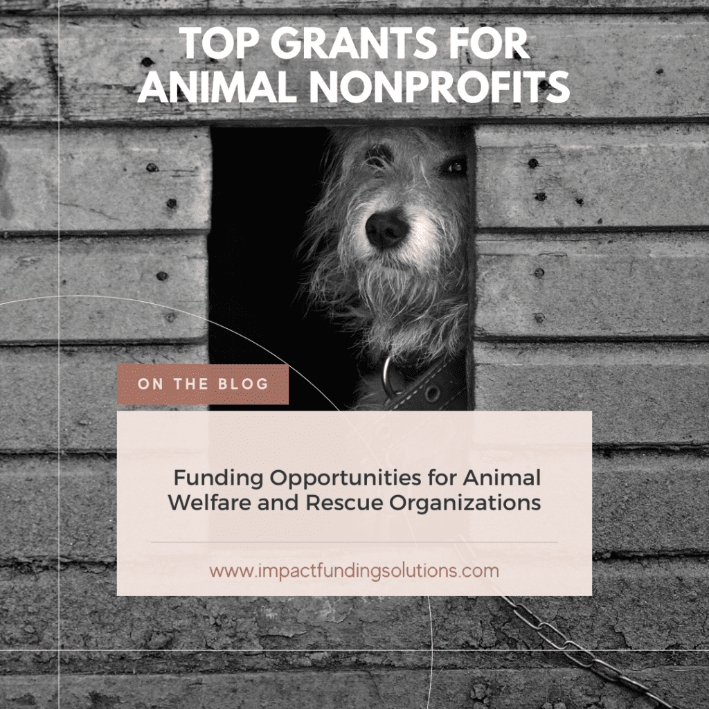 grants for animal nonprofits