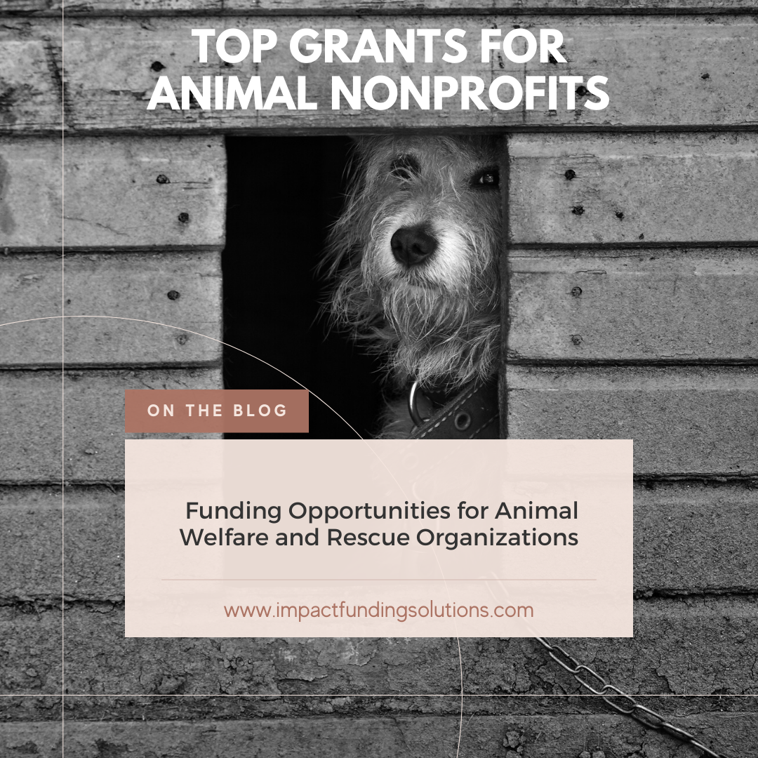 grants for animal nonprofits