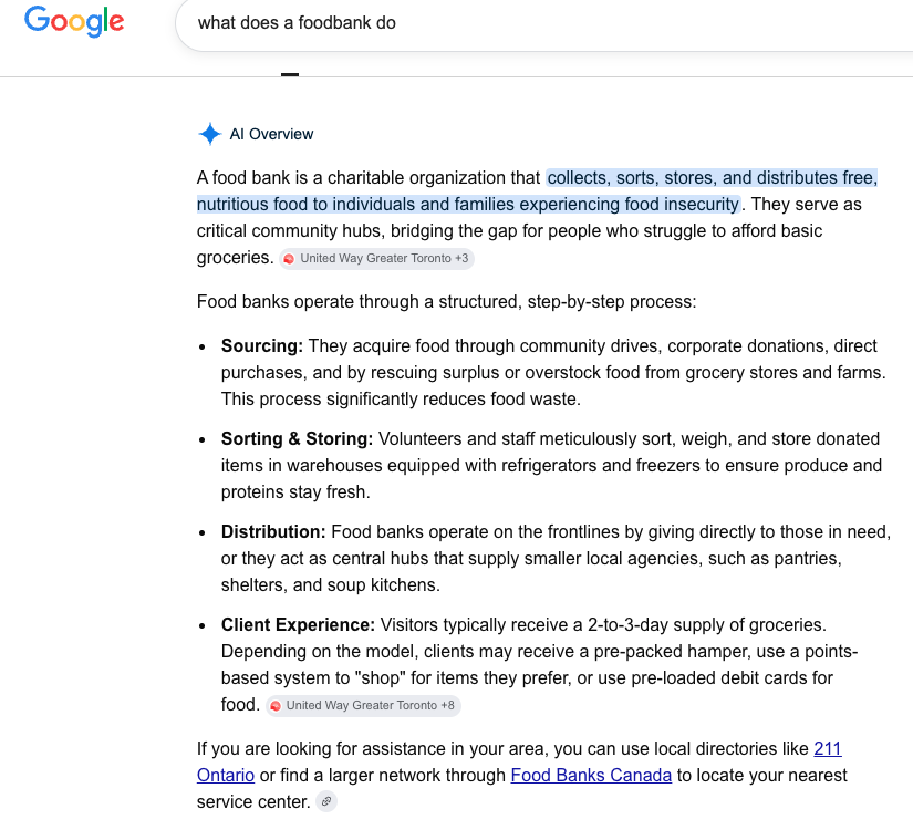Google AI Search Result
